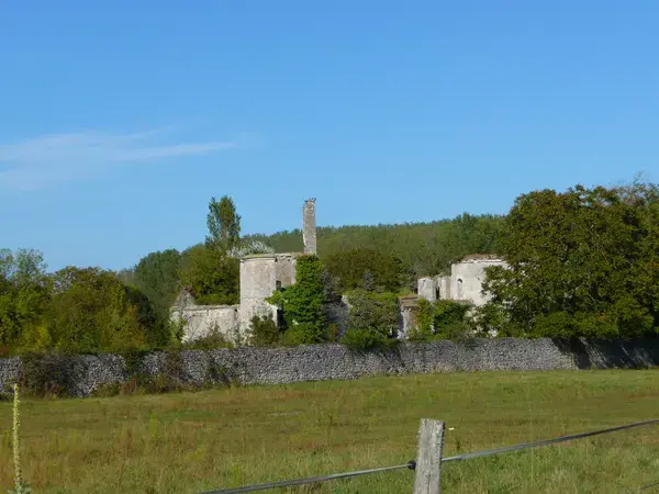 Borne de Recharge 37 Installateur borne de recharge Hommes